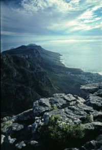 gal/Photographs/Capetown 2002/_thb_Img0617.jpg